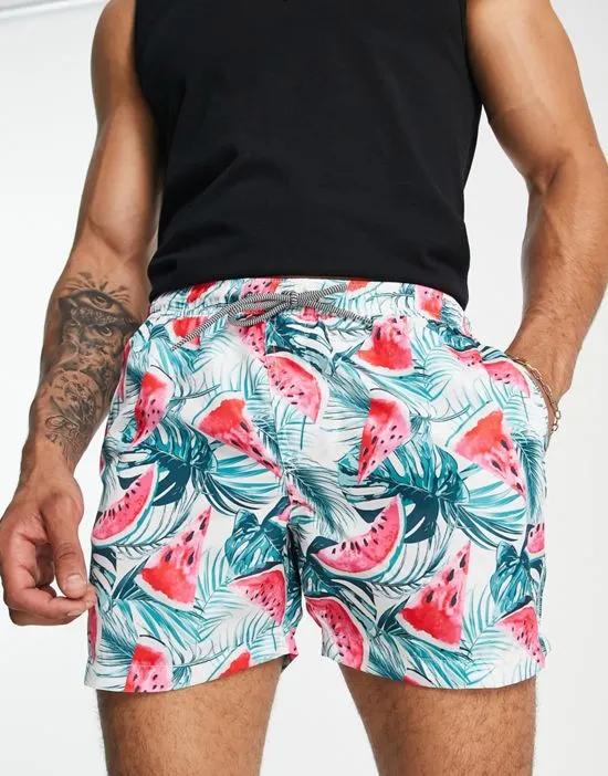 swim shorts in watermelon print