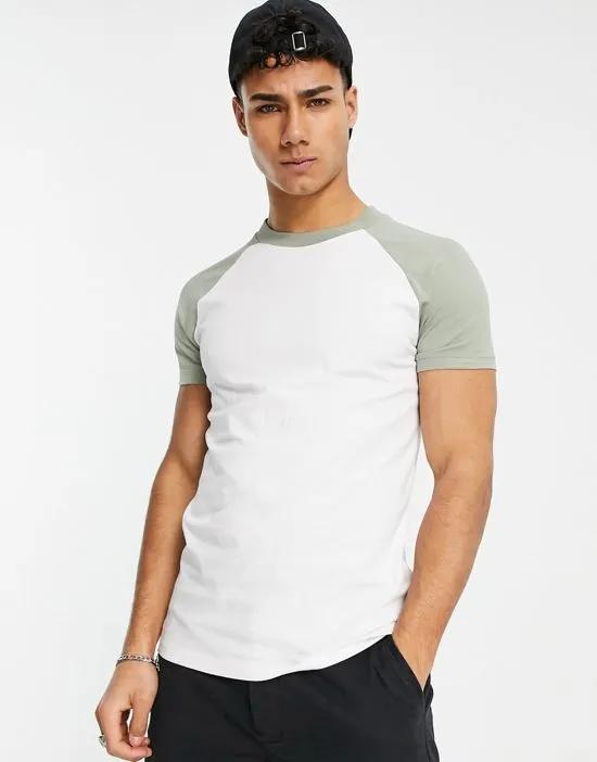 t-shirt in white with khaki raglan sleeves