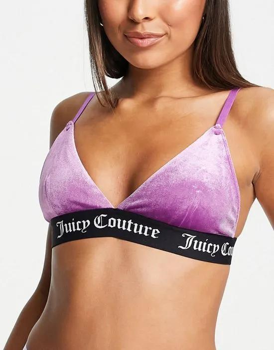 velvet triangle bra with branded elastic in pink - part of a set