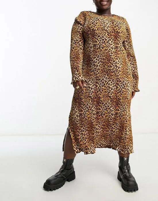 Violet Romance Plus plisse midi dress in leopard print