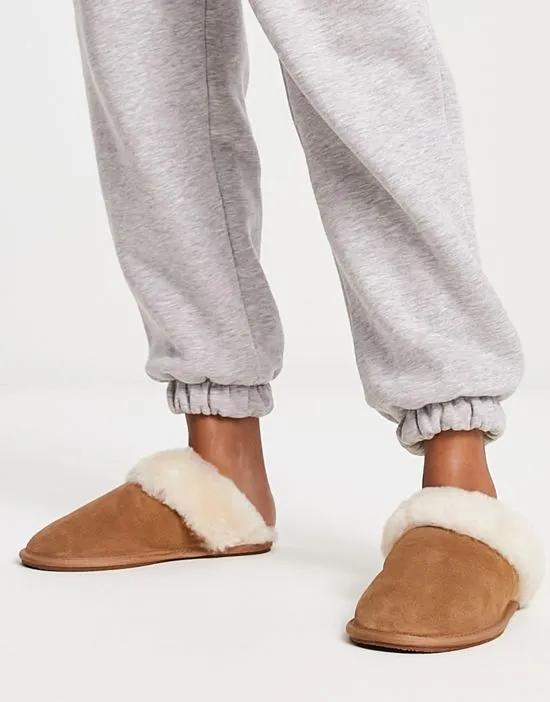 Zeus premium sheepskin slippers in chesnut